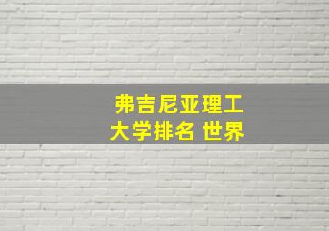 弗吉尼亚理工大学排名 世界